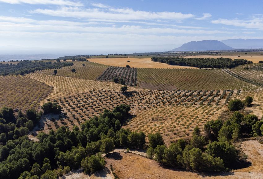 TERRITORIO ALVELAL
