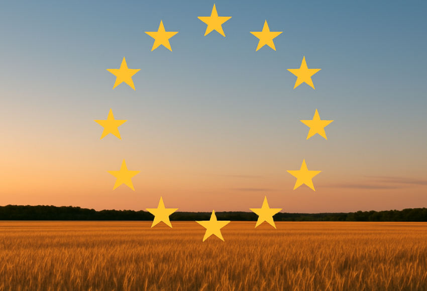 campo-europeo