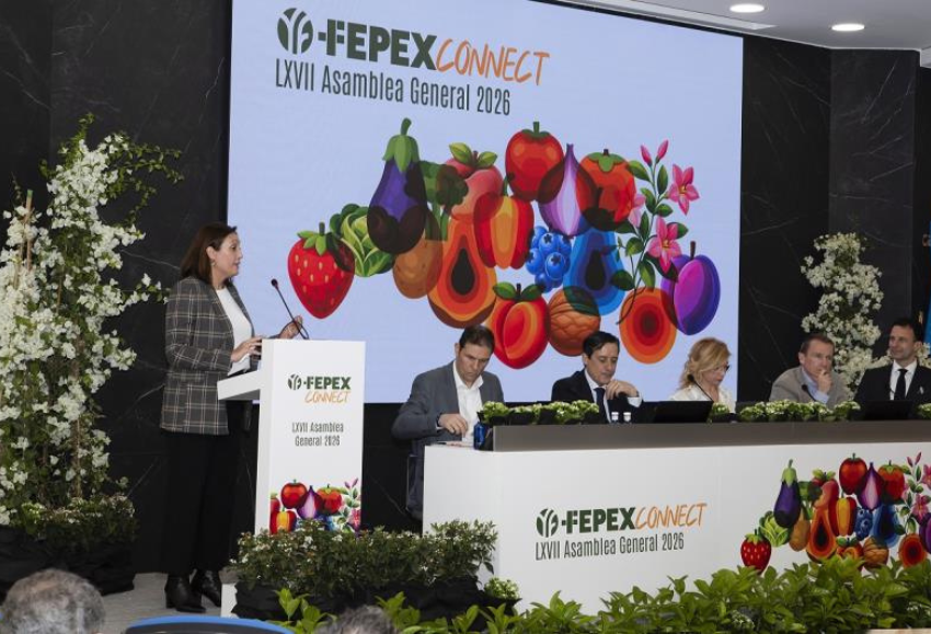 fepex-asamblea