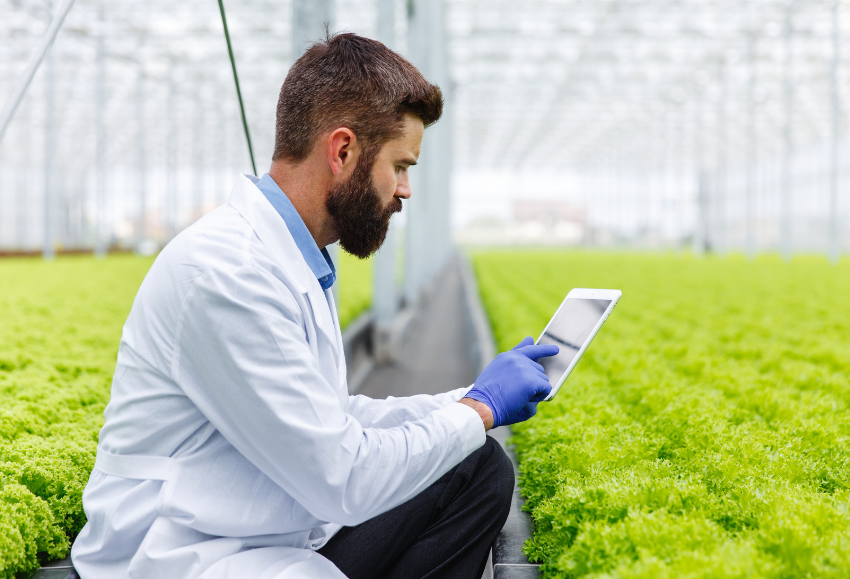 internet-de-las-cosas-agricultura