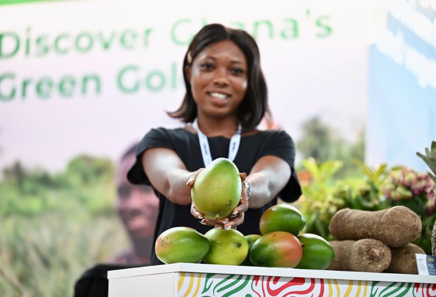 macfrut america