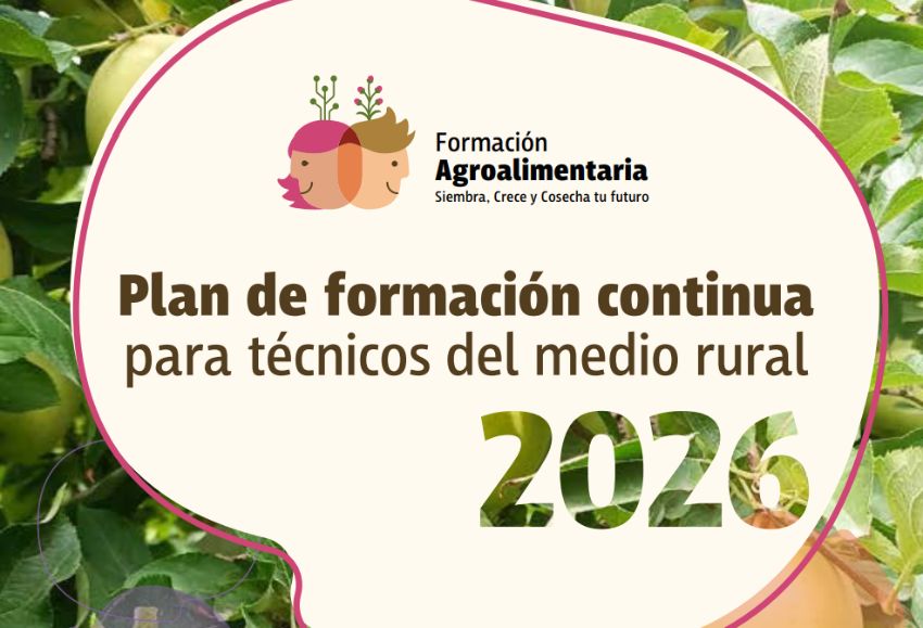 plan de formacion