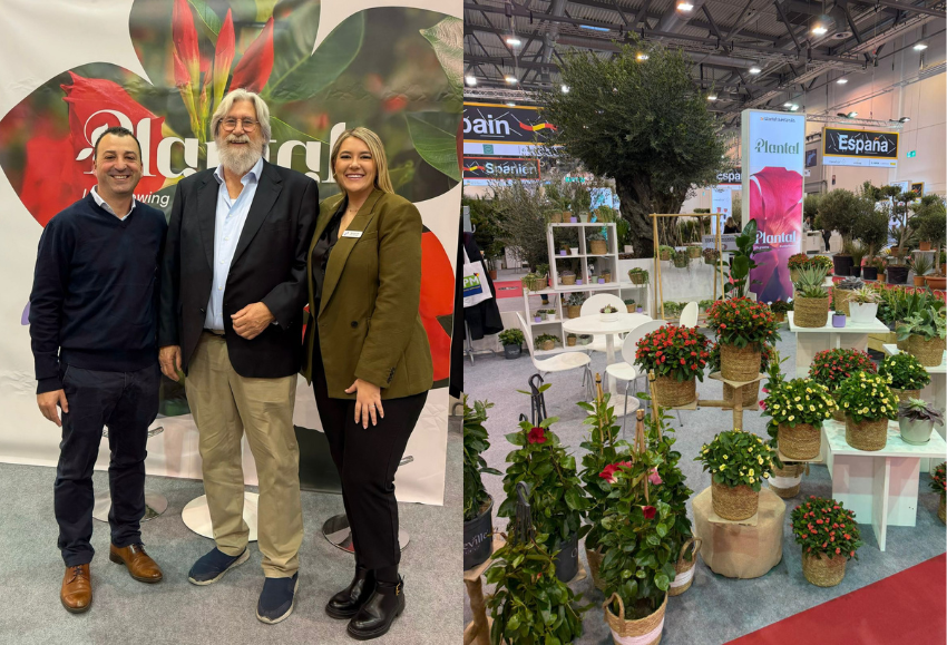 plantal-producciones-ipm-essen
