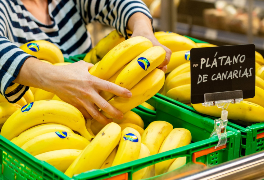 platano-canarias