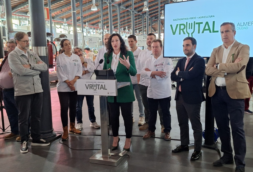 presentacion-vrutal (2)
