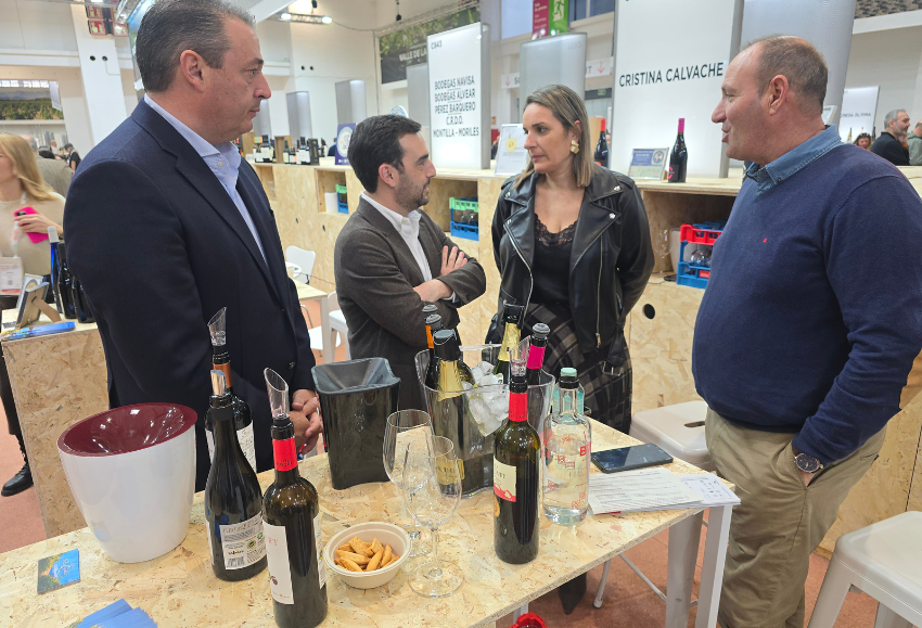 sabores-almeria-vinos