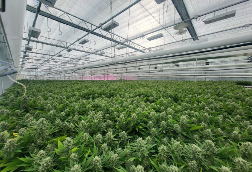 JHuete-greenhouses