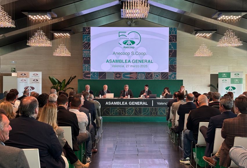 asamblea anecoop