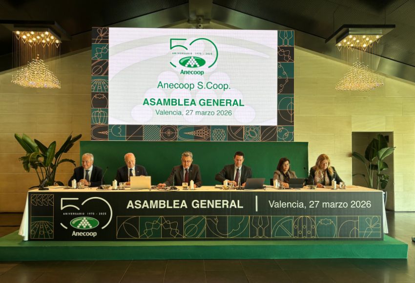 asamblea anecoop