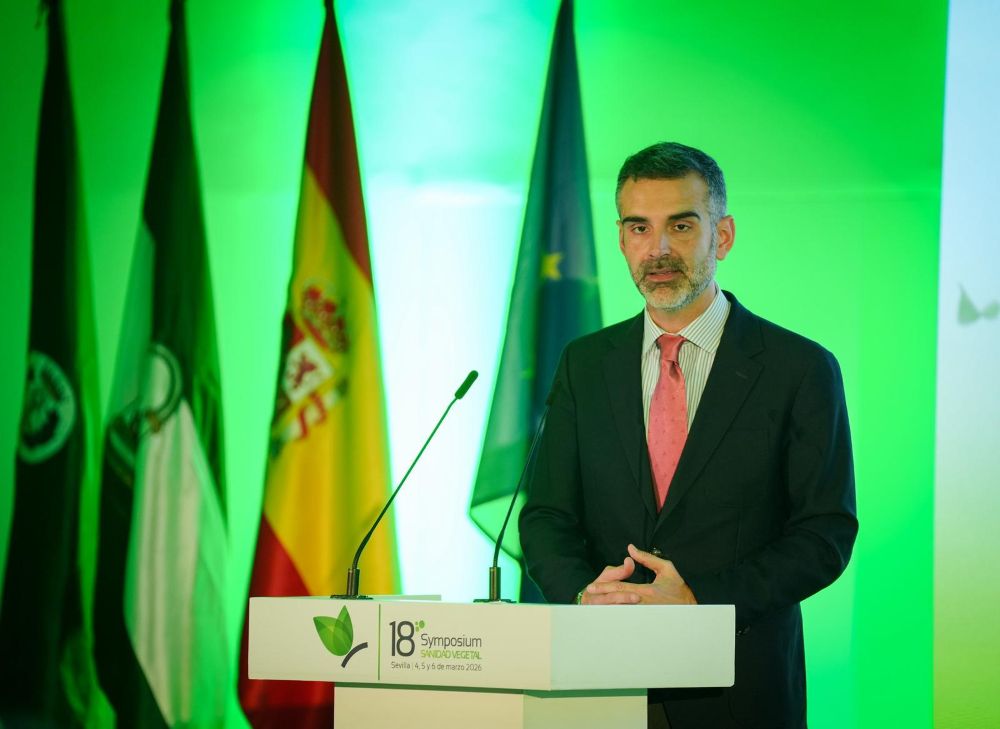consejero