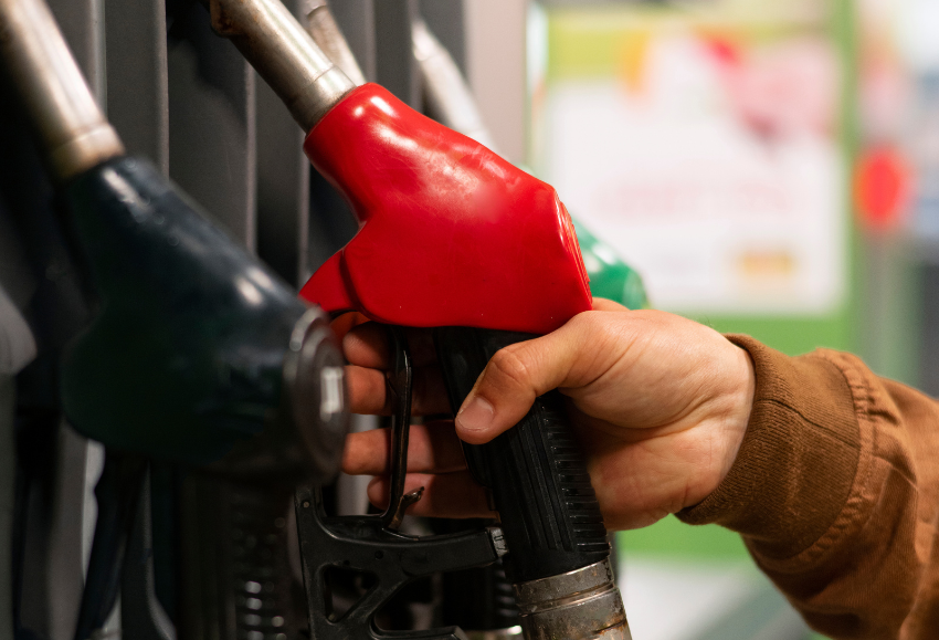 gasolina
