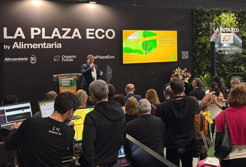 informe anual ecovalia