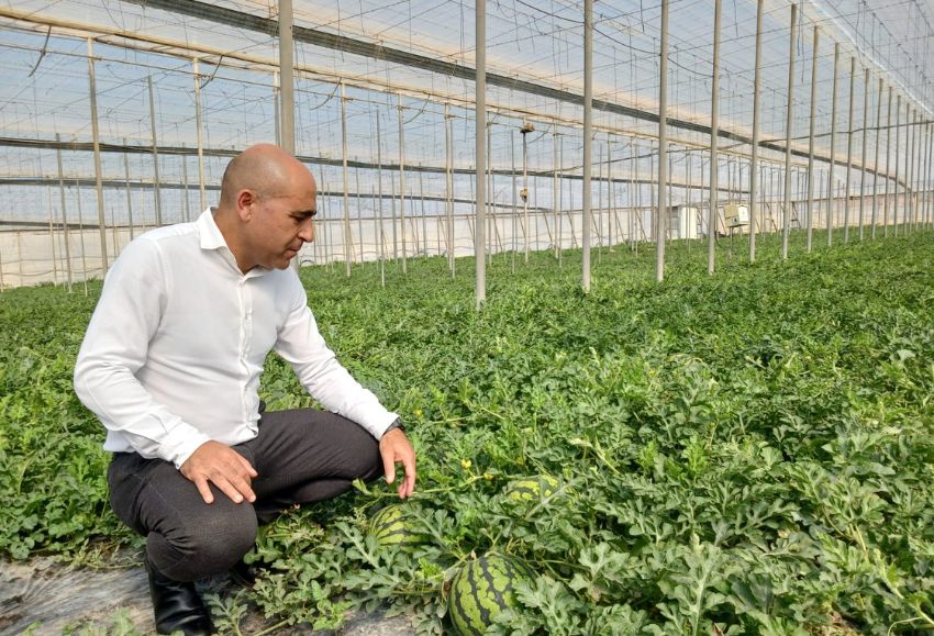 delegado de agricultura