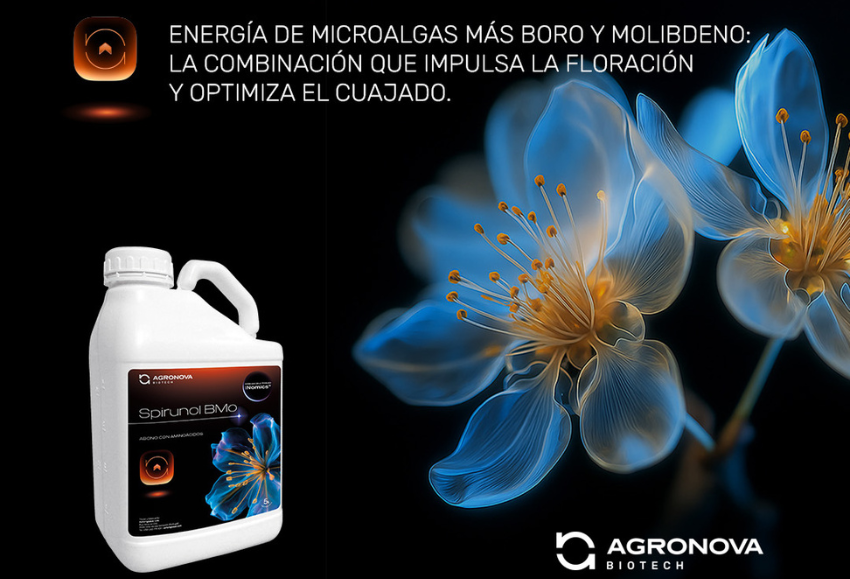 agronova-biotech