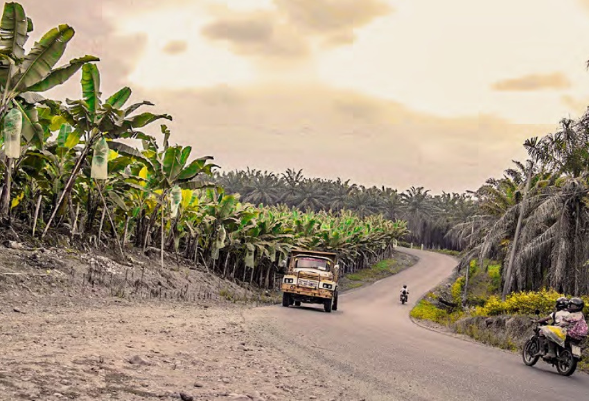 banana-oxfam