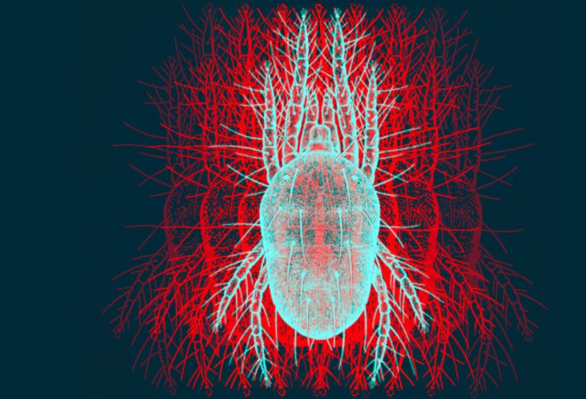 bioacaricida