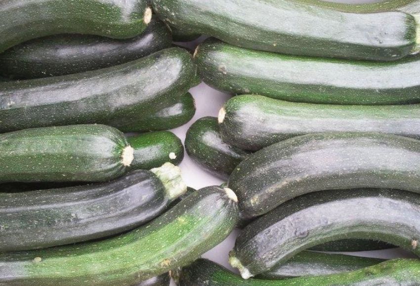calabacin