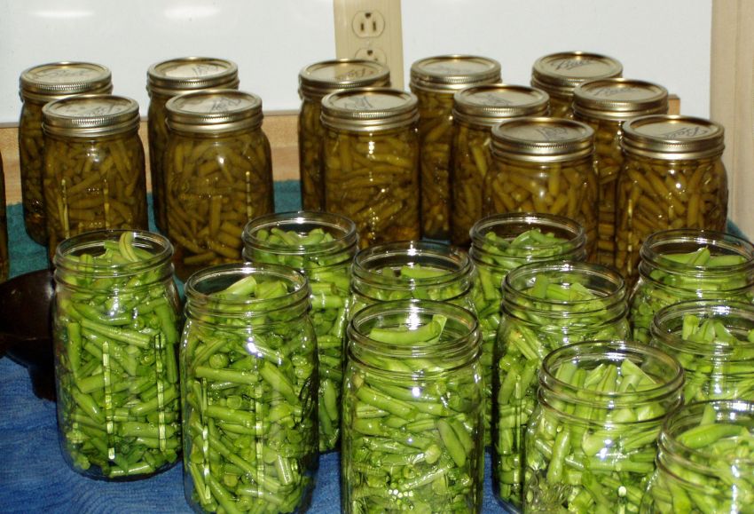 conserva vegetal