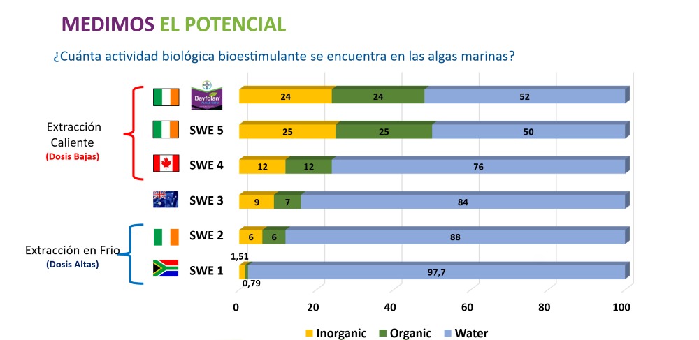 grafica_2 algas