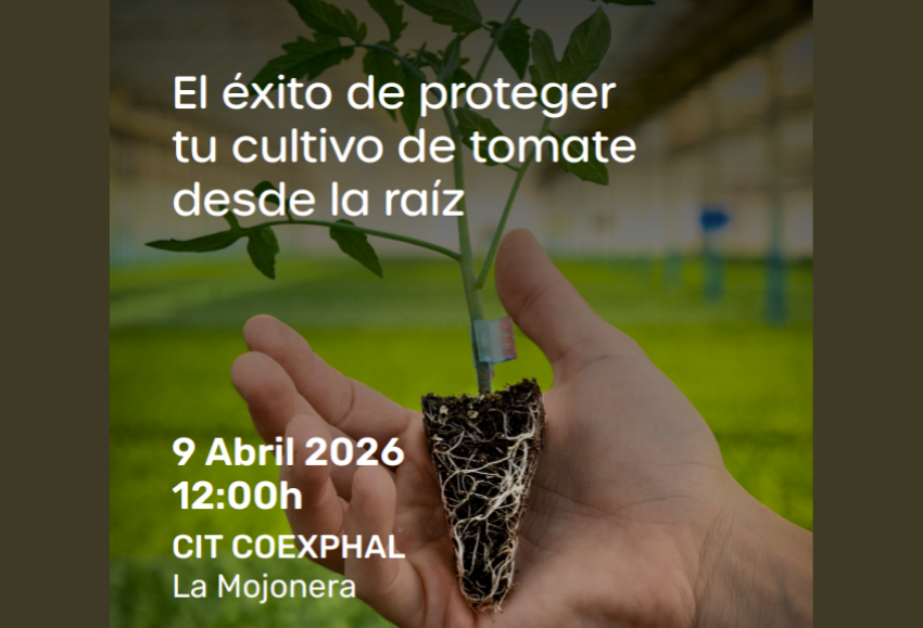jornada-enza-zaden