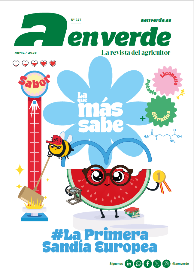 portada 247