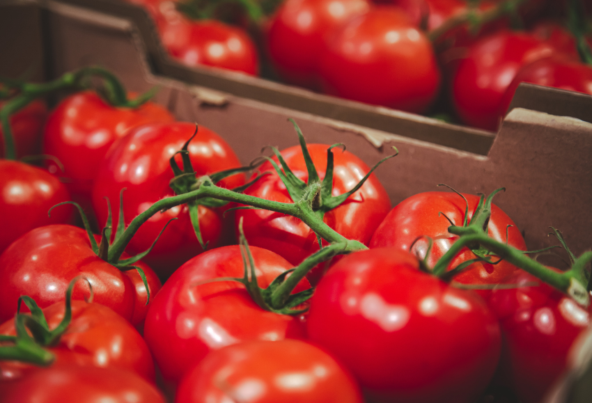 tomates