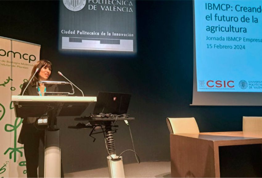 Laura Zacarés, responsable de Transfe­rencia Tecnológica del Instituto de Biología Molecular y Celular de Plantas (IBMCP)