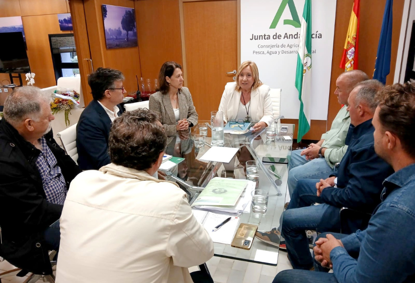 andalucia-ornamental (1)