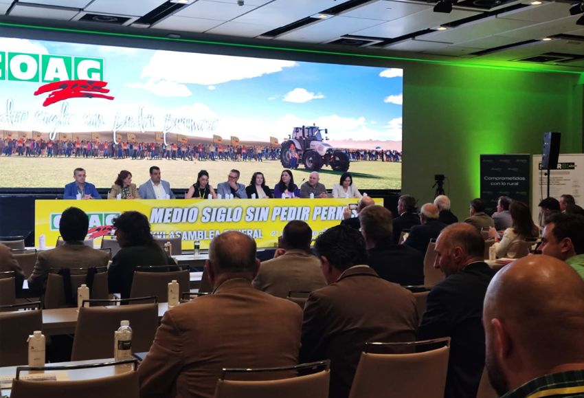 asamblea coag