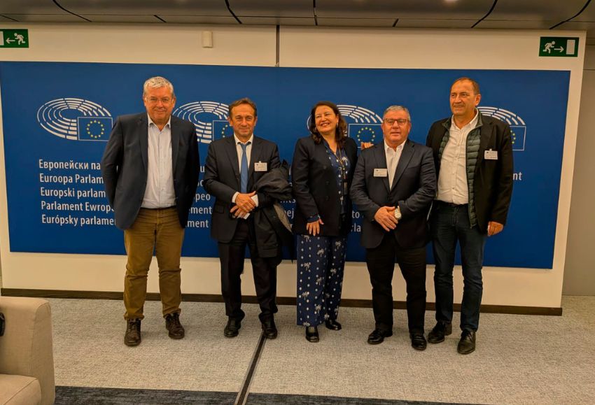 cooperativas hortofruticolas europeas