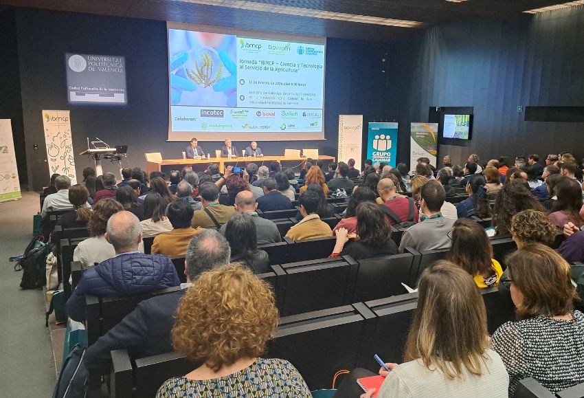 jornada ntg valencia