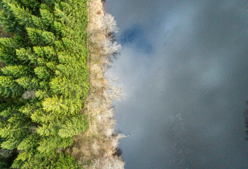 medioambiente