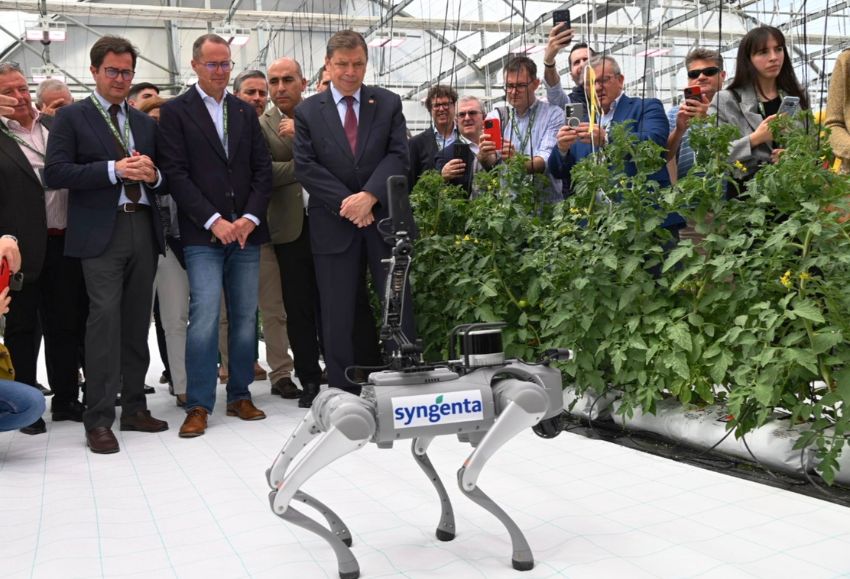 ministro syngenta