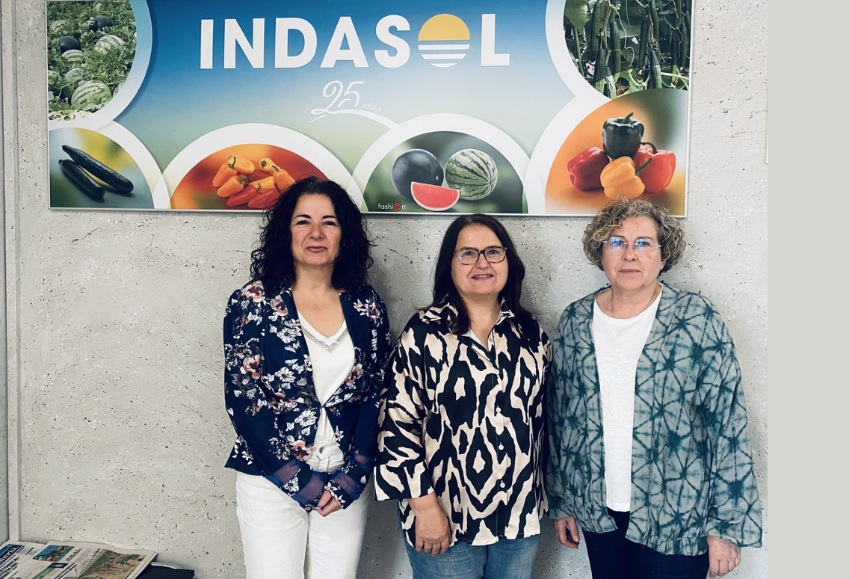 prevencion-indasol