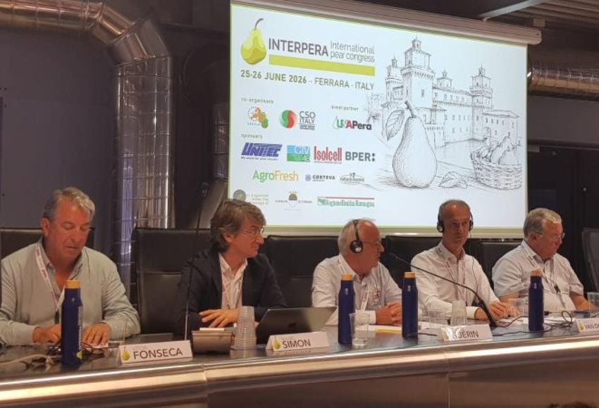 Interpera