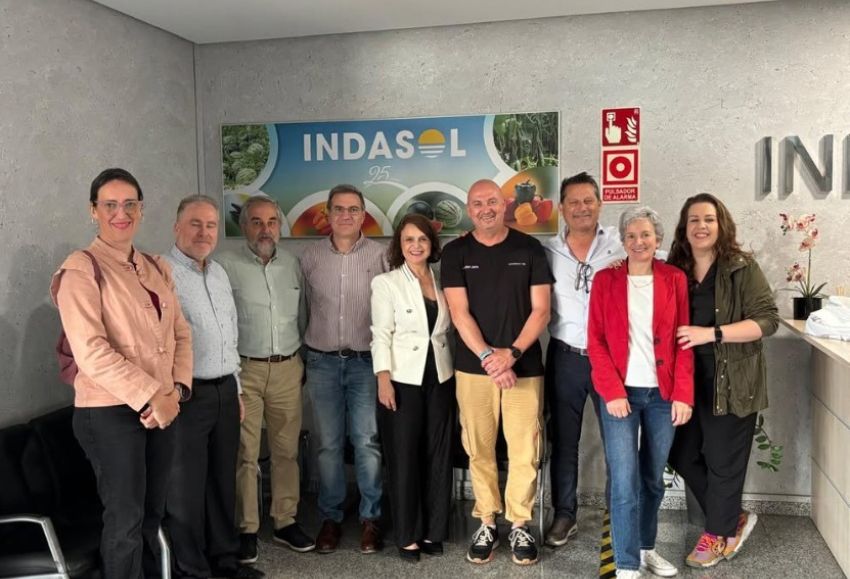 indasol visita aproa