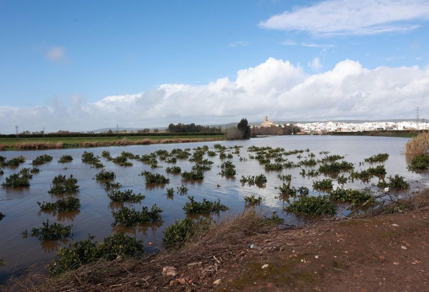 inundaciones Andalucía