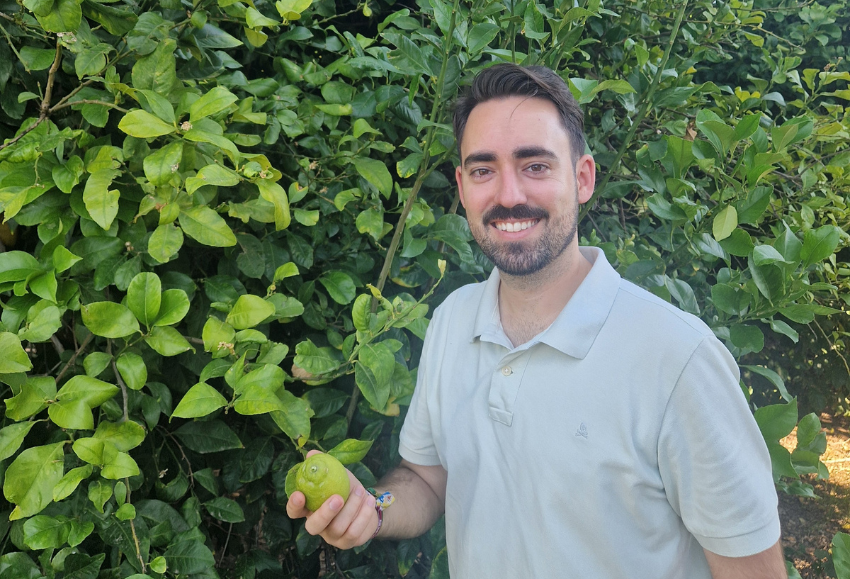 limón-murcia