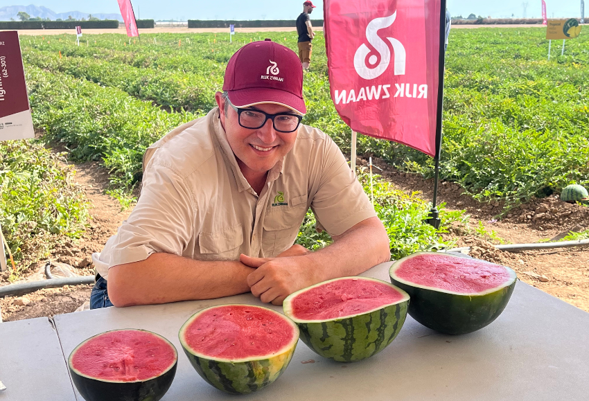 melon-watermelon-rijk-zwaan (2)