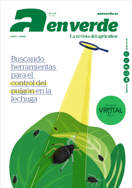portada 249