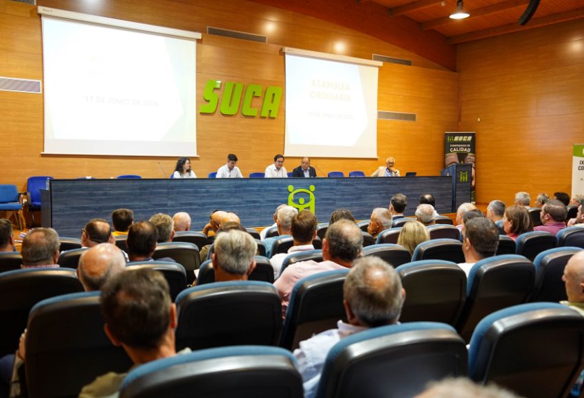 asamblea SUCA