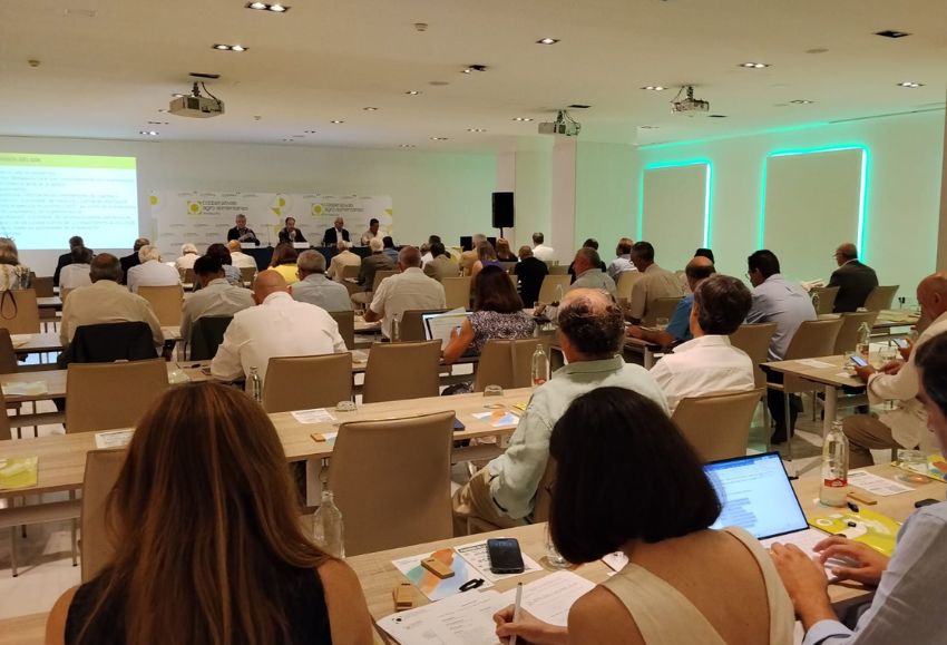 asamblea coops and
