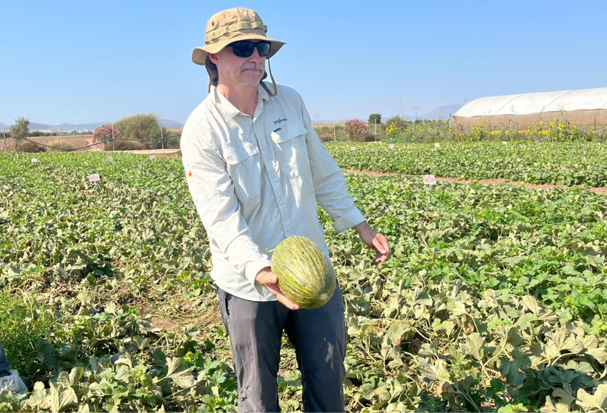 demo-days-melon-sandia-syngenta (3)