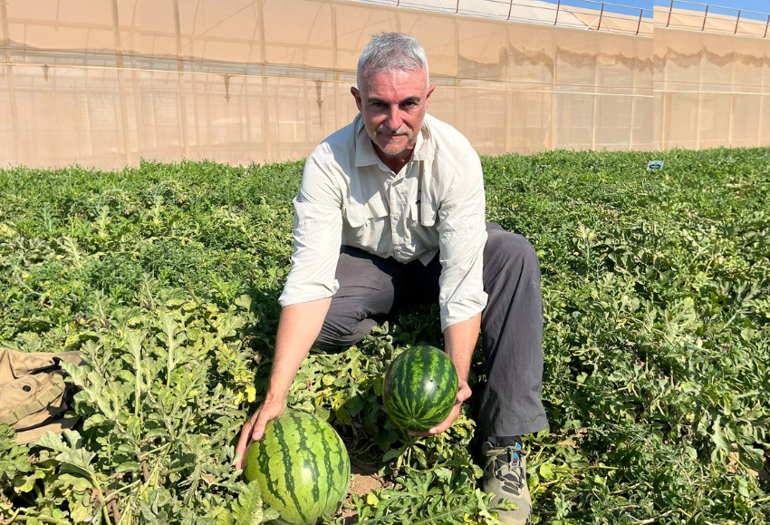 demo-days-melon-sandia-syngenta (4)
