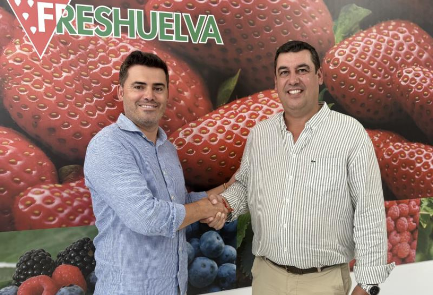 freshuelva
