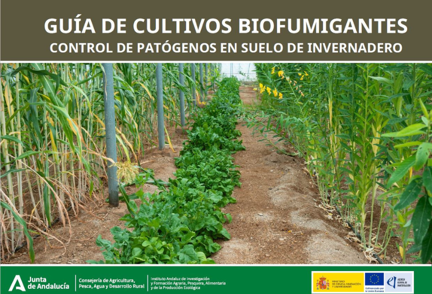 ifapa-biofumigante (2)