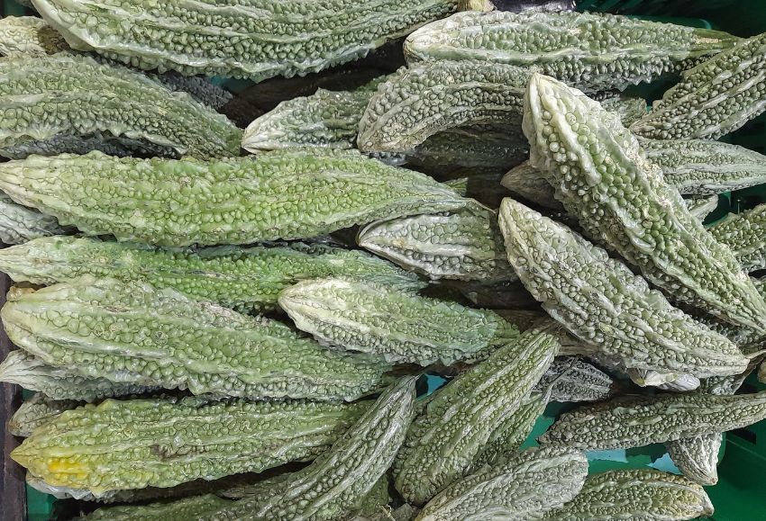 calabaza amarga
