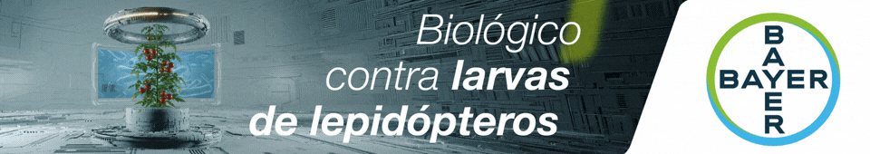 BANNER BAYER SEPTIEMBRE