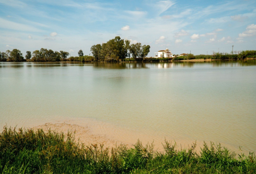 agricultura-ecologica