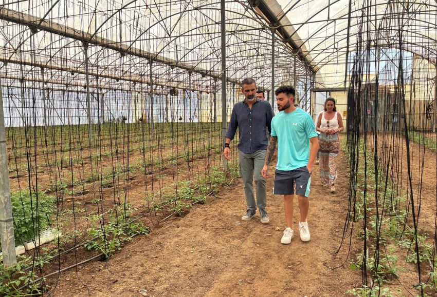 ayudas jóvenes agricultores
